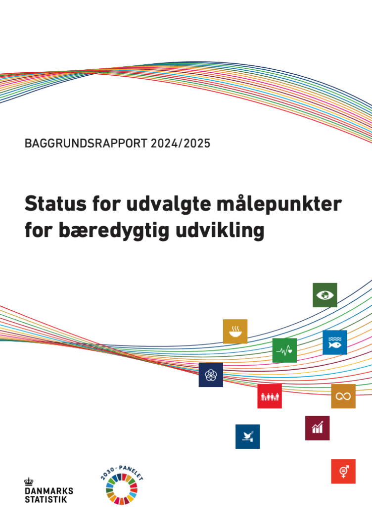 DSG rapport - Dansk Statistik