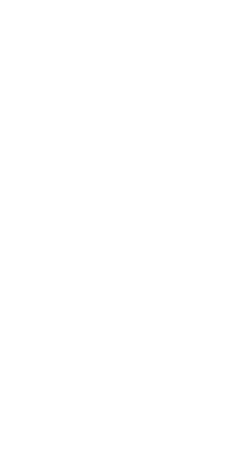 undp